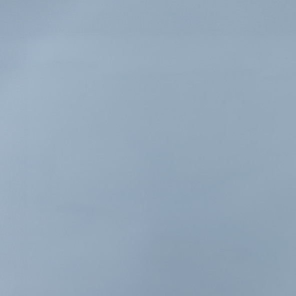 Svenja  Kalbermatter